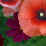 620555开奖结果最新公布,速来查看幸运号码 2o4600bj