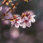 61005期最新开奖结果查询与中奖号码公布 arklx46wme