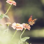 61体育彩票最新开奖结果查询与中奖号码公布 x07fibxg4