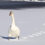 5选开奖结果揭晓,惊喜大奖花落谁家? x12c2x5y